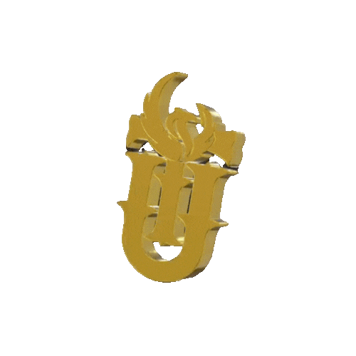 💰Undertaking Together Caps 💰